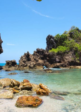 WhatsApp Image 2026-03-08 at 09.42.30 (1)