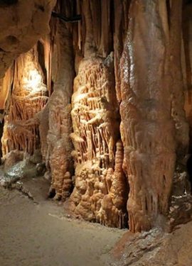 WhatsApp Image 2026-03-08 at 09.42.30 (2)