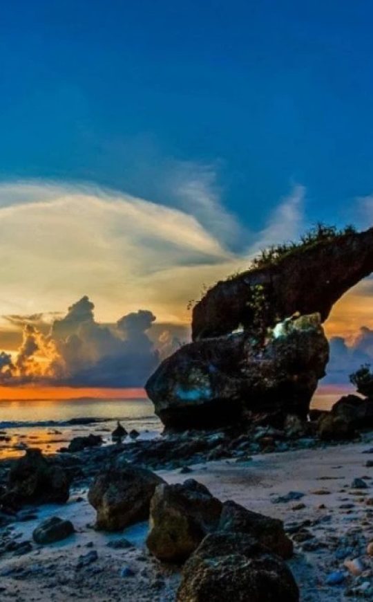 WhatsApp Image 2026-03-08 at 09.42.31 (1)